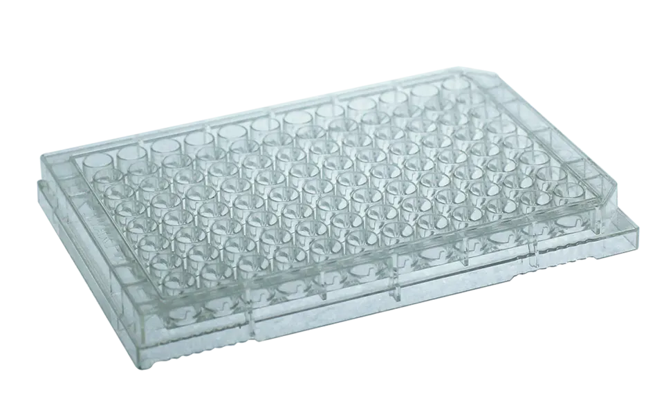 ELISA Plate